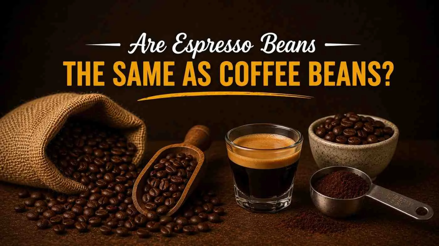 Are espresso beans the same as coffee beans shown with espresso shot, roasted beans, ground coffee, and rustic coffee setup