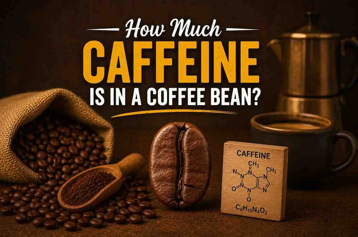 How much caffeine is in a coffee bean featured image showing roasted coffee beans, ground coffee, and a coffee cup.